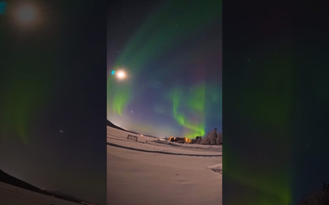 The camera you need for mind-blowing shots of the northern lights 🙌 #Insta360 #aurora #shorts #fyp