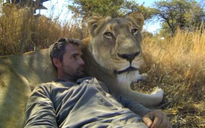 GoPro: Lions – The New Endangered Species?
