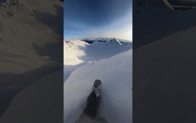 GoPro | Dream Line on a Steep Spine 🎬 Dan Scanlon #Shorts #Snowboard
