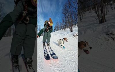 GoPro | Downhill Skiing with a Cute Pup 🎬 Elisabeth Mathisen #Shorts #Dogs