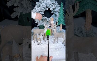 Create a winter wonderland with #Insta360GO3S 🎄 #Insta360 #christmas #pov #creative #shorts