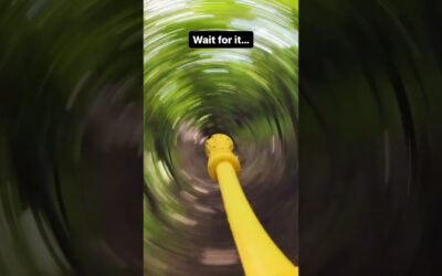 Take your dog’s vlogs to the next level 🤩 #Insta360 #Insta360DogMode #doglover #puppy #shorts #fyp