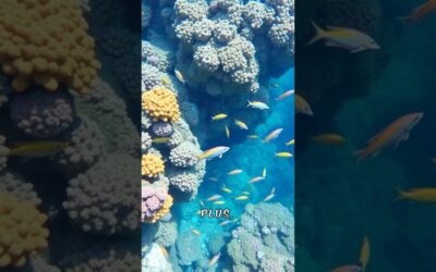 5 Vid AI REVIEWS That Will Change Video Editing Forever