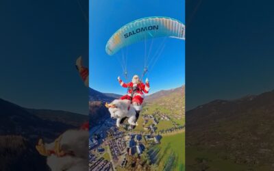 Santa Paws has officially finished his shift! 🐶 😴 #Insta360 #Christmas #santa #dog #shorts #fyp