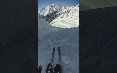 Freeride World Tour Men’s Ski Champion Highlights 🎬 Marcus Goguen #Shorts #Ski