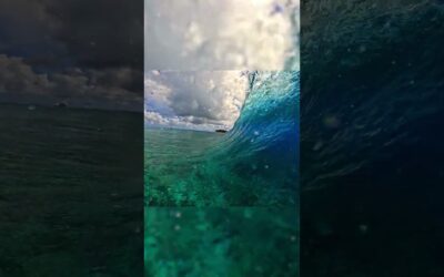 Surf Session of a Lifetime 🎬 Ridge Lenny #Shorts #Surf
