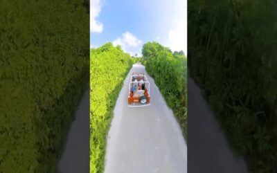 Sit back and relax, we’re going on vacation 🏝️ #Insta360 #travel #maldives #island #shorts #vfx