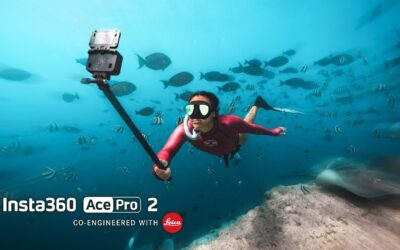 Filming Sharks for World Wildlife Day x Zimydakid | Insta360 Ace Pro 2