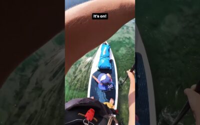 Next time on: The Adventures of Captain Adia ⚓, the search for minnow continues 👀 #insta360 #family