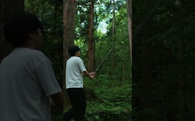 You won‘t be disappointed with the results… 🔥   #Insta360 #travel #japan #hyperlapse #shorts