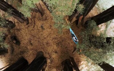 GoPro: Travel in Big Sur California with Jedidiah Jenkins