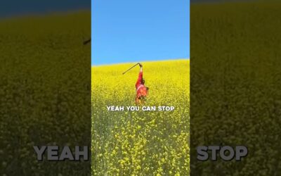 The legend Will Smith makes magic with #insta360 X5 🙌 #shorts #willsmith #musicvideo