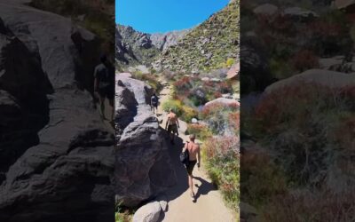 Hiking to a desert waterfall! 🏔️🌼💦#insta360 #insta360x3 #hiking #videography #outdoors #shorts #fyp