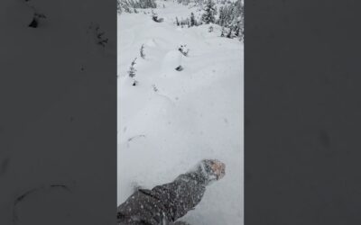 GoPro Line of the Winter Champion: Women’s Snowboard 🎬 Marissa Krawczak #Shorts #Snowboard