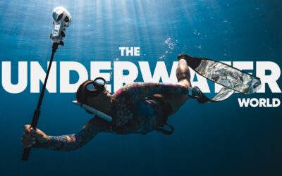 We Returned to Paradise—But This Time, to Save the Sharks | Insta360 x Zimy Da Kid