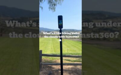 Cruising Through Vineyards on the Chillest Day Ever #bike #360camera #videography #shorts