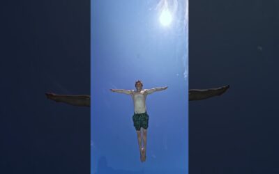 Unique Underwater Dive POV 🎬 Thomas Hubener #Shorts #Dive