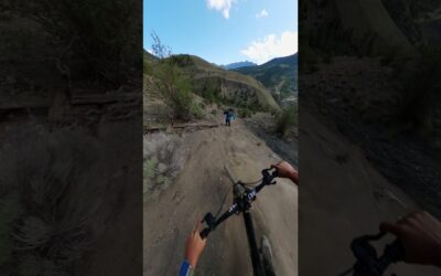 The Ultimate Collab | MTB + Ski 🎬 Alex Chapellier #Shorts #MTB