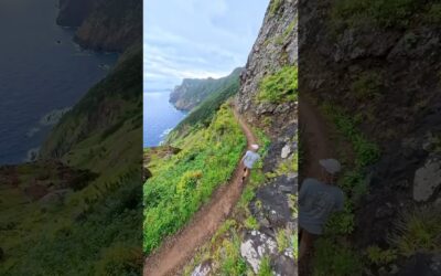 Madeira memories 🙌 Nothing else like it… #shorts #travel #madeira