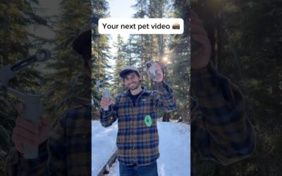 Capture Your Pet Easily with Insta360 Flow 2 Pro #gimbal #creative #videography #shorts