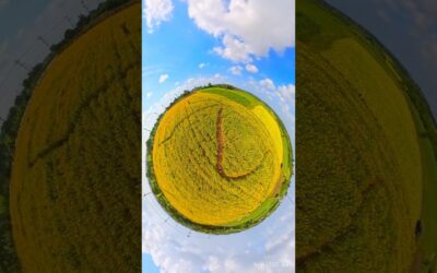 The Easiest 360 Camera Trick EVER! Tiny Planet Magic In Seconds! | Insta360 X5