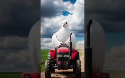 #kahani #komedi #kabutar #ai videoai video kaise banayeai video generator video editing#shortvideo