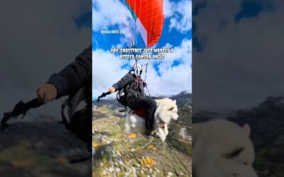 Ghostface just wanted a better camera angle 😱📸 #halloween |