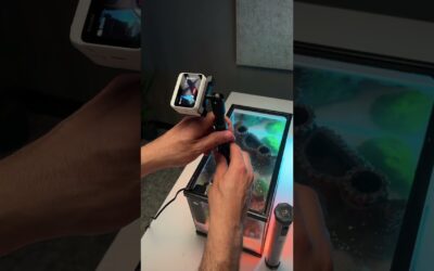 Where the Wild Watches Are ⌚︎ #insta360 #videography #trickshots #videoshorts #viralvideos #fyp