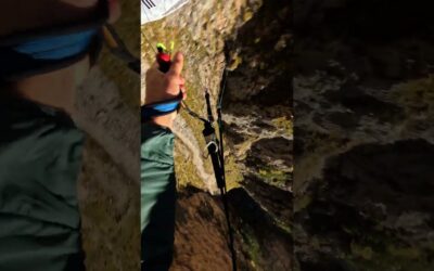 Scenic Autumn Speedfly 🎬 Gabriel Molitor #Shorts #POV