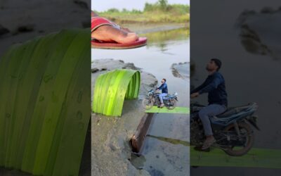 Crazy mobile videography editing tutorial 📱👀 #shorts #tutorial