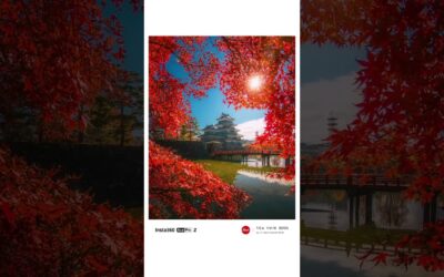 Moments that make you miss Autumn | Insta360 Ace Pro 2