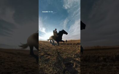 This is how you film horseback. 🐎 | Insta360 X4 Air