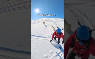 POV: Your Best Ski Buddy 🏂 | Insta360 X4