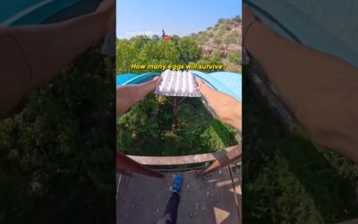 How many eggs survive this …🥚 🛝 | Insta360 Ace Pro 2 #parkour