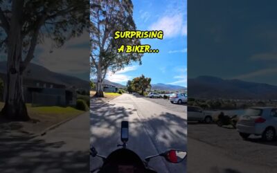 Riders are obsessed with this pocket printer | Insta360 Ace Pro 2