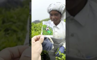 Capture unforgettable moments. 🍃 | Insta360 Ace Pro 2