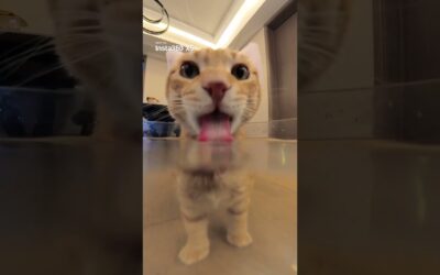 His favorite time of day 💧| Insta360 X5