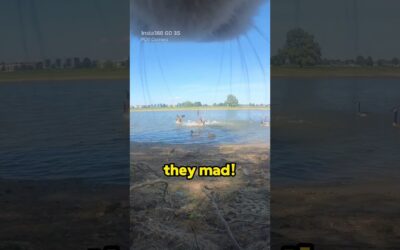 POV: when your cat gets TOO curious 😹 | Insta360 GO 3S #catlife #funnyvideos