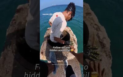 POV: Exploring the Ocean’s Hidden Trails 🌊 | Insta360 Ace Pro 2