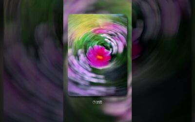 This one trick makes your photos actually interesting | Insta360 GO Ultra